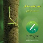 دانلود آهنگ سالار عقیلی به نام حس خوب زندگی