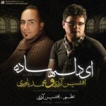 دانلود آهنگ افشین آذری به نام دل ساده