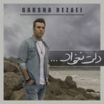 دانلود آهنگ گرشا رضایی به نام دلت نخواد