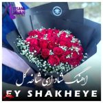 آهنگ ای شاخه ی پرگل قشنگم ریمیکس