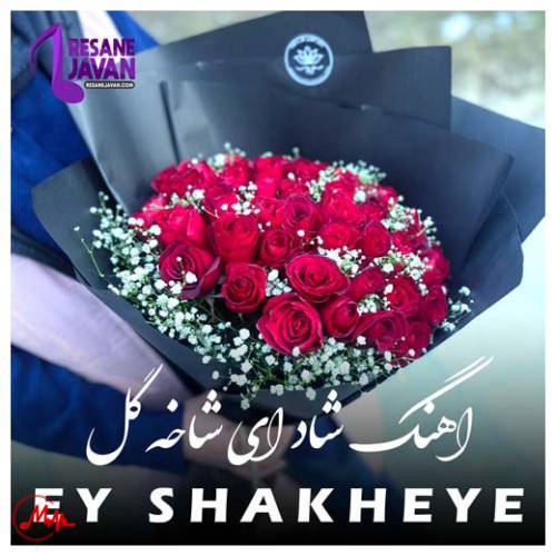 آهنگ آهنگ ای شاخه ی پرگل قشنگم ریمیکس 