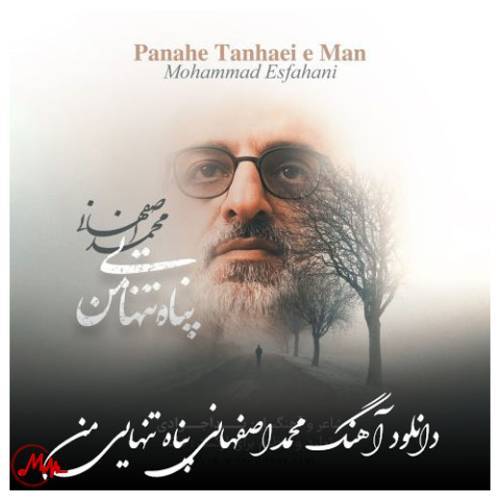 آهنگ محمد اصفهانی پناه تنهایی من 