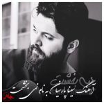 دانلود آهنگ سینا پارسیان نمی بخشمت