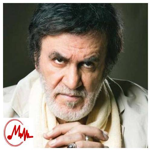 آهنگ حبیب چون آرزوی تنگدلان دیر رسیدی 