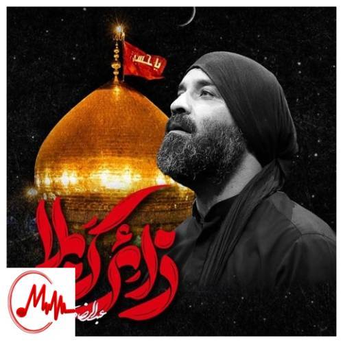 آهنگ عبدالرضا هلالی مداحی زائر کربلا
