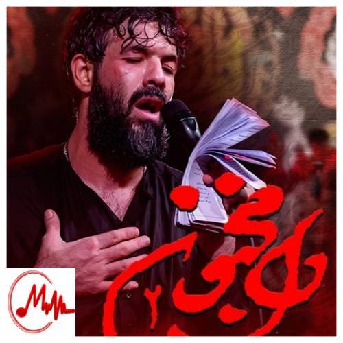 آهنگ حسین ستوده دل مجنون 2