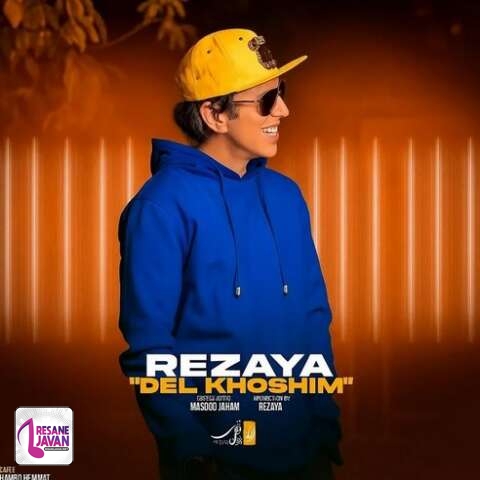 آهنگ رضایا دلخوشیم 