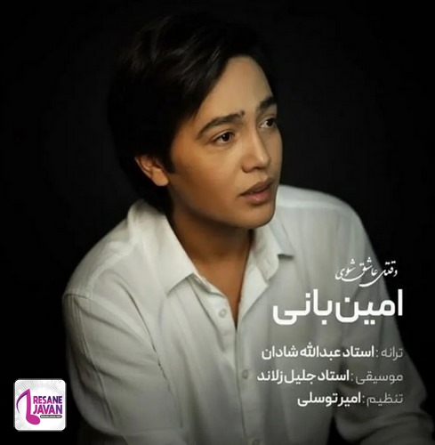 آهنگ   امین بانی وقتی عاشق شوی 