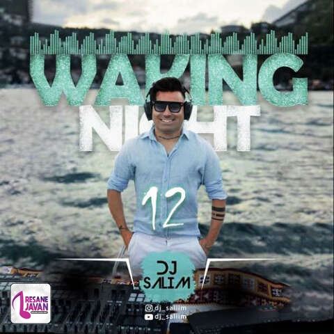 آهنگ دیجی سلیم واکینگ نایت 12 (پادکست)