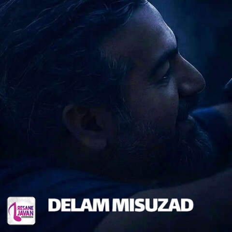 آهنگ پرواز همای دلم میسوزد و کاری ز دستم بر نمی آید 