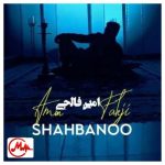 دانلود آهنگ امین فالجی شاه بانو