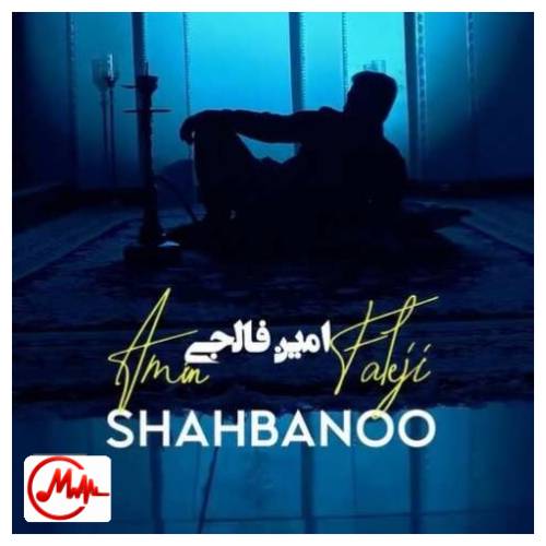 آهنگ امین فالجی شاه بانو