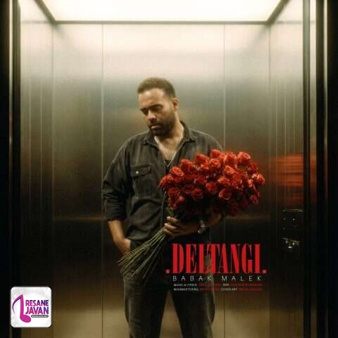 آهنگ بابک ملک دلتنگی