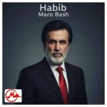 دانلود آهنگ حبیب ﻣﺎ رو ﺑﺎش ﺑﺎز دوﺑﺎره ﺧﺮاب ﻋﺸﻖ ﺗﻮ ﺷﺪﻳﻢ