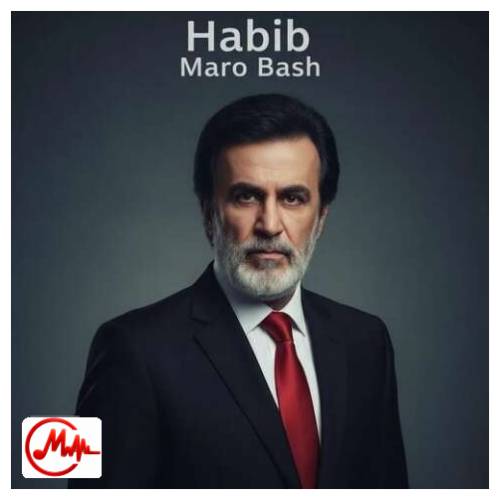 آهنگ حبیب ﻣﺎ رو ﺑﺎش ﺑﺎز دوﺑﺎره ﺧﺮاب ﻋﺸﻖ ﺗﻮ ﺷﺪﻳﻢ