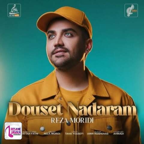 آهنگ رضا مریدی دیگه دوست ندارم نه نه ندارم