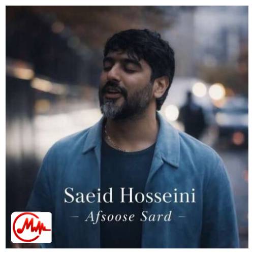 آهنگ سعید حسینی افسوس سرد