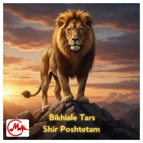 آهنگ ترند اینستا بیخیال ترس مثل شیر پشتتم