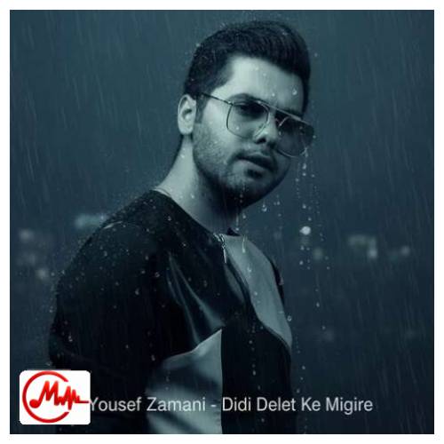 آهنگ یوسف زمانی دیدی دلت که میگیره