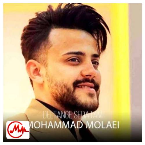 آهنگ محمد ملایی دلتنگ صداتم