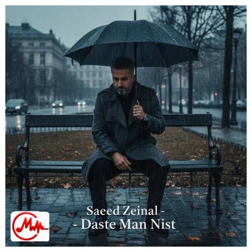 آهنگ سعید زینال دست من نیست