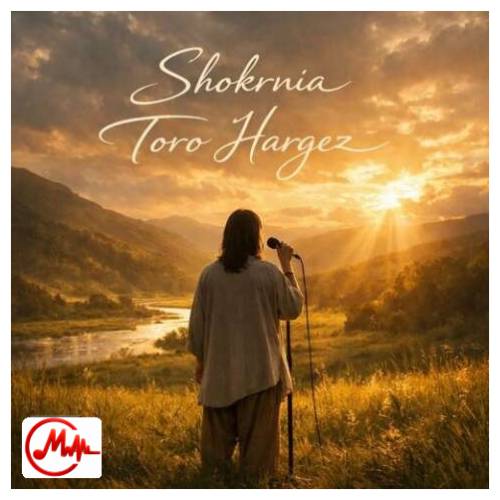 آهنگ شکرنیا تورو هرگز ندیدن