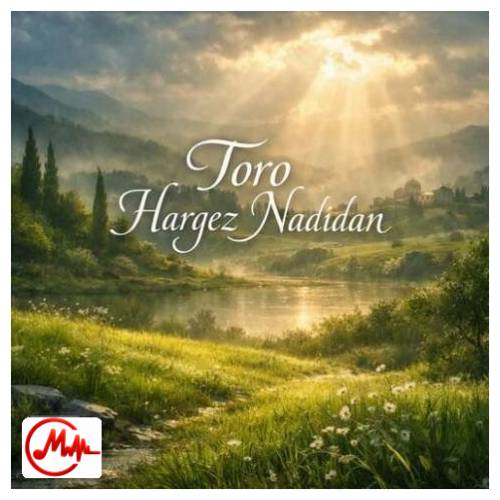 آهنگ ترند اینستا تورو هرگز ندیدن