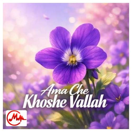 آهنگ عطایی اما چه خوشه