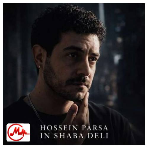 آهنگ حسین پارسا این شبو