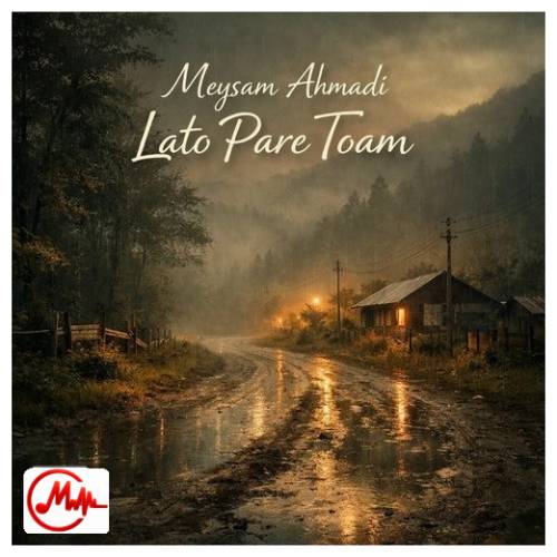 آهنگ میثم احمدی دلم میگیرد