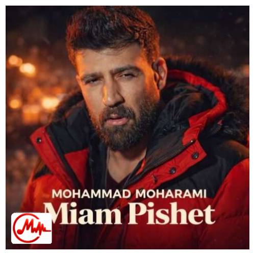 آهنگ محمد محرمی میام پیشت همین روزا منم دیگه تمومه کارم