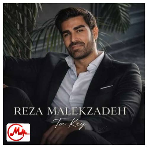 آهنگ رضا ملک زاده تا کی