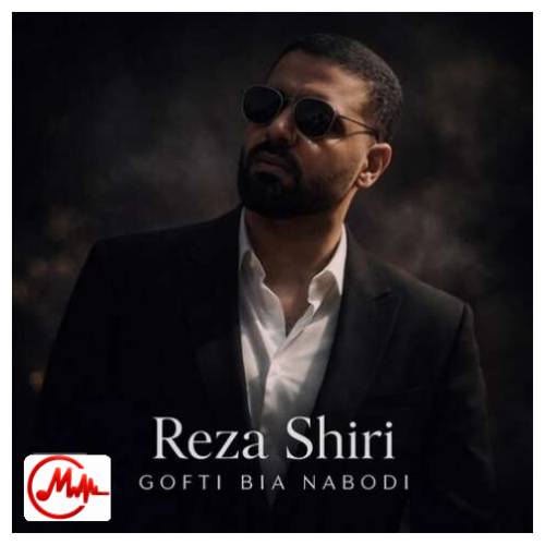 آهنگ رضا شیری گفتی بیا