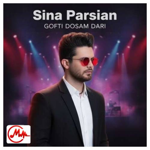 آهنگ سینا پارسیان گفتی دوسم داری حق با تو بود آره