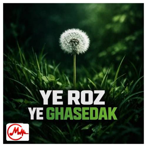 آهنگ ترند اینستا یه روز یه قاصدک