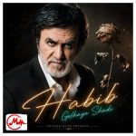 دانلود آهنگ دیدی چه کردی با حالم ببین چه کردی با روزم حبیب محبیان