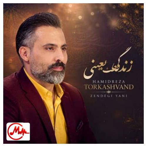 آهنگ حمیدرضا ترکاشوند زندگی یعنی همین که اگه داری یا نداری