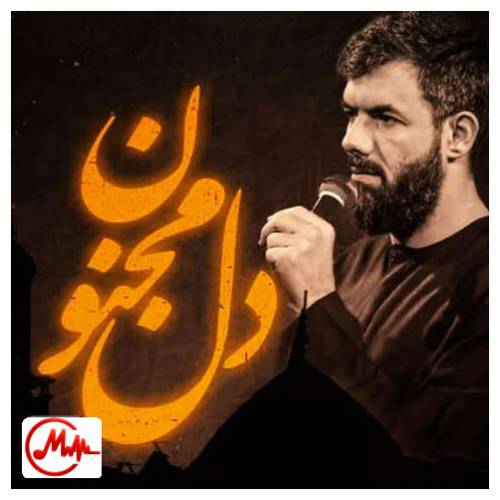 آهنگ حسین ستوده لیلا