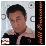 دانلود آهنگ جلیل پیرمومن وقت وداع (ریمیکس)
