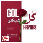 دانلود آهنگ فریدون آسرایی گل هیاهو (دایناتونیک ریمیکس)