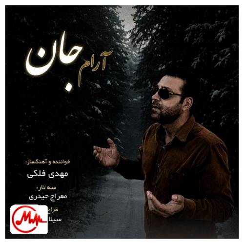 آهنگ مهدی فلکی آرام جان