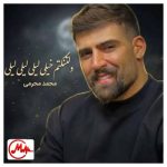 دانلود آهنگ محمد محرمی دلتنگتم خیلی لیلی لیلی لیلی تو که نباشی پیش من به زندگی میلی