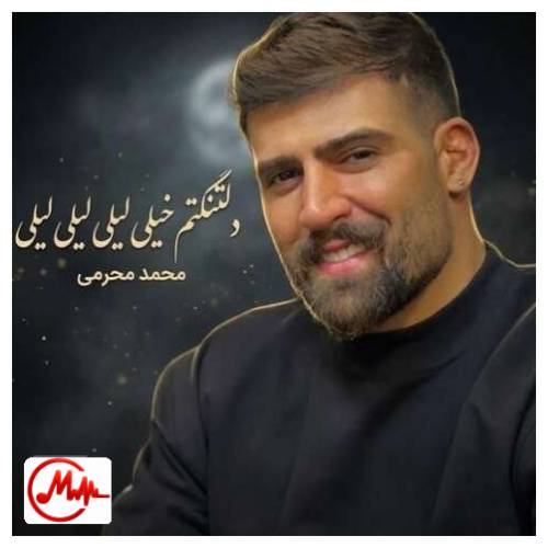 آهنگ محمد محرمی دلتنگتم خیلی لیلی لیلی لیلی تو که نباشی پیش من به زندگی میلی