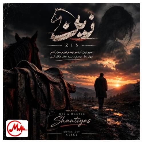 آهنگ سینا پارسیان زین (دلی)