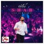 دانلود آهنگ آرمان گرشاسبی شب (زنده)