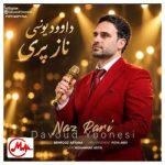 دانلود آهنگ داوود یونسی ناز پری