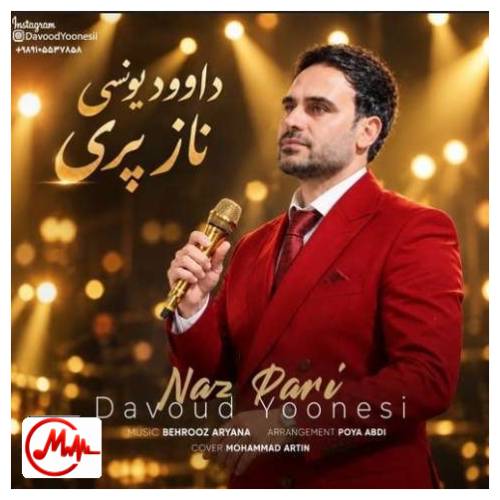 آهنگ داوود یونسی ناز پری
