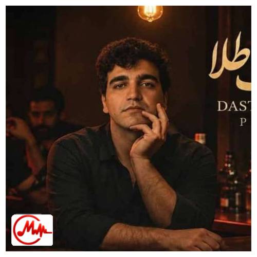 آهنگ پیانیک امشب میخوام به یادت